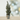 Xmas Tree 21 Cement Pot With Jute 15x56 - Magasins Hart | Hart Stores
