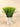 Grass Marble Look Paper Pot 10.16x10.16x22.86 - Magasins Hart | Hart Stores