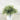 Grass Marble Look Paper Pot 10.16x10.16x21.59 - Magasins Hart | Hart Stores