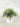 Grass Marble Look Paper Pot 10.16x10.16x21.59 - Magasins Hart | Hart Stores