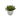 Succulent Cement Pot 13x13 - Magasins Hart | Hart Stores