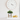 Grass Ceramic Pot In Woodstand 12x26.5 X Design - Magasins Hart | Hart Stores