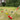 Wooden Croquet Game Set - Magasins Hart | Hart Stores